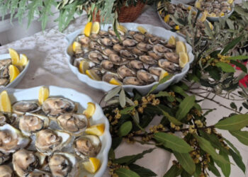 Svečano otvoreni Dani malostonske kamenice