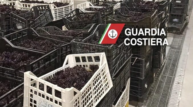 Talijani u Trstu zaplijenili čak dvije tone ježeva: “Pratili smo rashladni kombi iz Hrvatske”