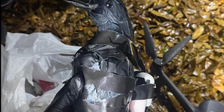 Teksaške žene pokušale su unijeti met u zatvorsko dvorište pomoću drona prerušenog u vranu