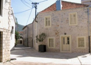 Trebinje kreće u veliku sadnju: Više od 500 stabala košćele na ulicama i u naseljima