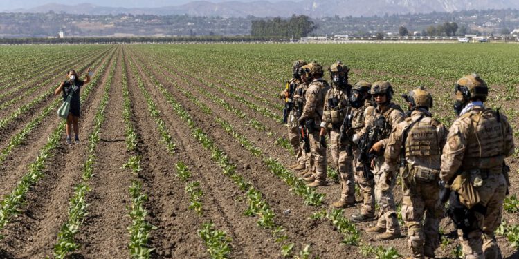 Trumpov tim želi migrantima olakšati rad na američkim farmama – nakon što su ih ciljali u racijama deportacije