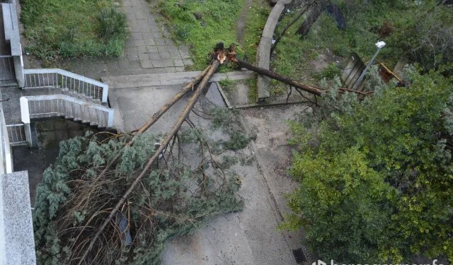 Upozorenje na vremenske nepogode u BiH: Udari vjetra do 75 kilometara na sat