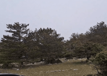 VIDEO Na Braču pada snijeg