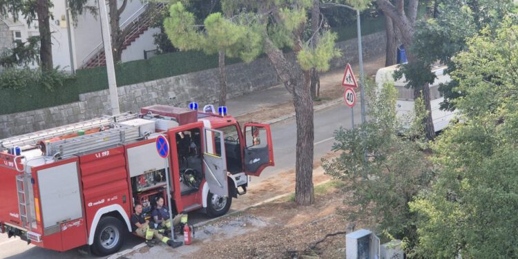 Vatrogasci gasili požare i otvarali stanove: Dojava i o požaru na turističkom brodu