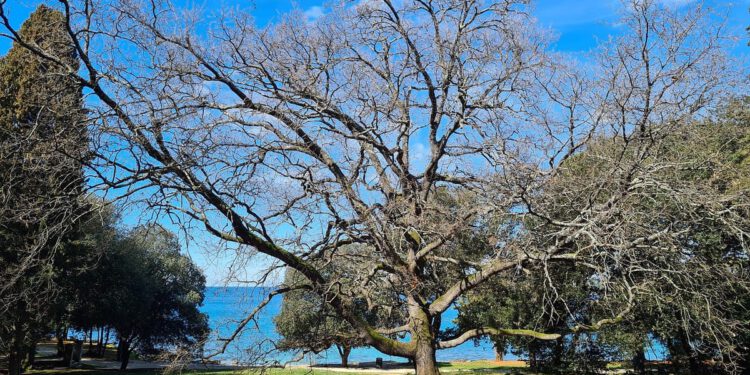 Vodič za građane – ‘Sigurno kroz krize’ Istarske županije