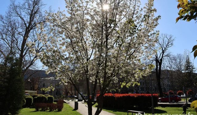 Vremenska prognoza za Mostar i Hercegovinu – 11.03.2026