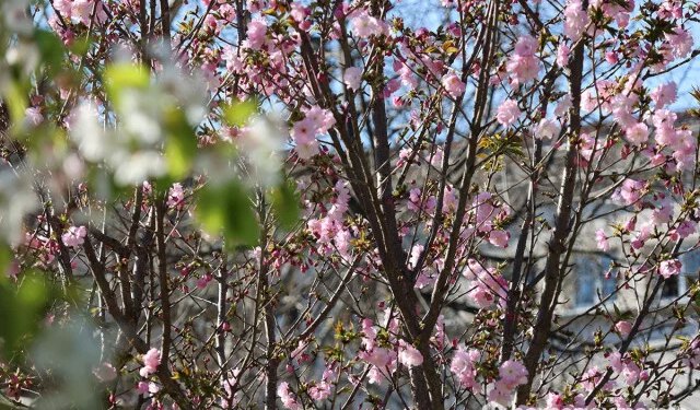 Vremenska prognoza za Mostar i Hercegovinu – 12.03.2026