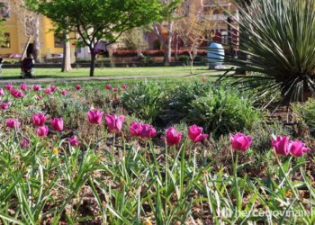 Vremenska prognoza za Mostar i Hercegovinu – 14.03.2026