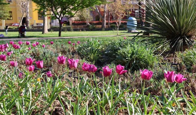 Vremenska prognoza za Mostar i Hercegovinu – 14.03.2026