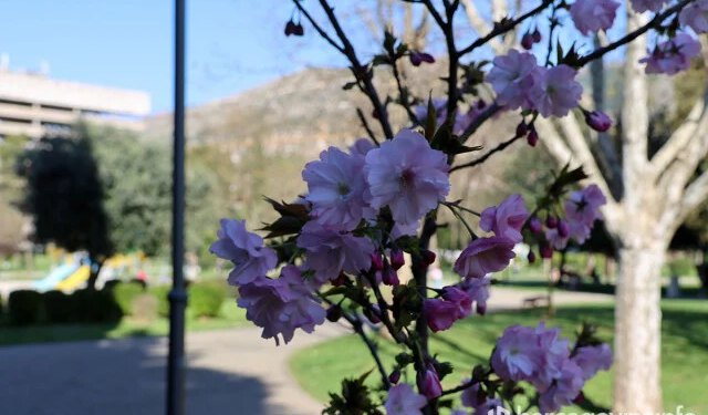 Vremenska prognoza za Mostar i Hercegovinu – 21.03.2026