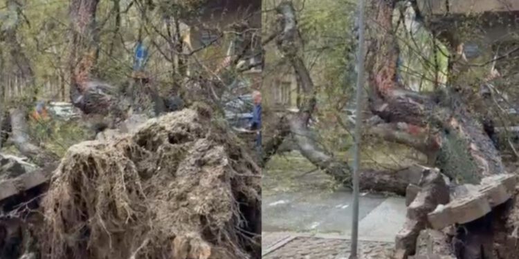 Zastrašujući prizori iz centra Zagreba: Ovakvo što ne pamte ni najstariji građani