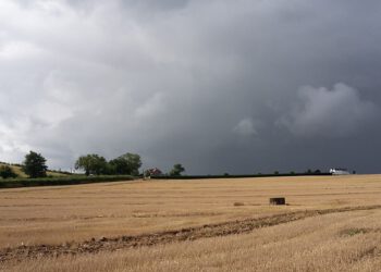 Zbog rata na Bliskom istoku prijeti nam poskupljenje hrane