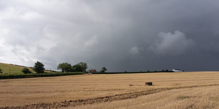 Zbog rata na Bliskom istoku prijeti nam poskupljenje hrane