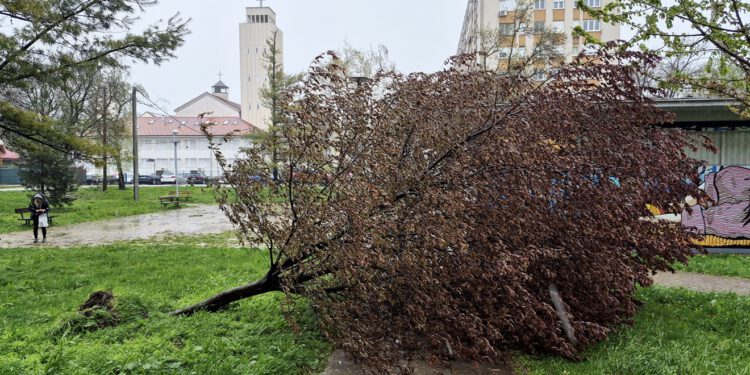 Velika galerija: Stižu slike kataklizme u Zagrebu, prizori su zastrašujući