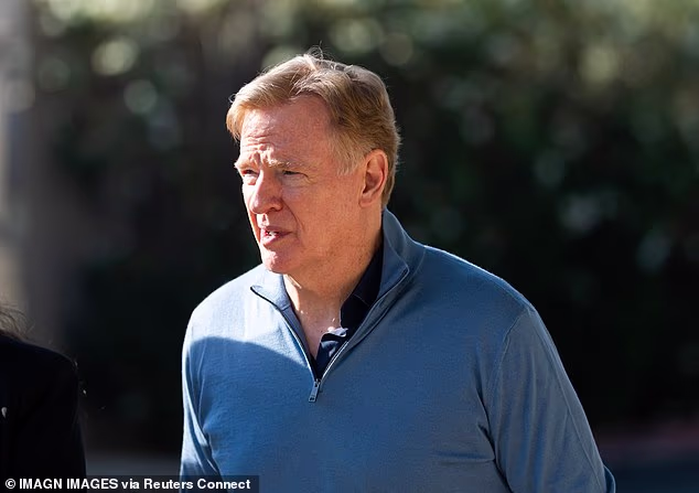 Glasnogovornik NFL-a, koji vodi Roger Goodell, rekao je da je njihov model distribucije medija 'najprijatniji za fanove i emitere u čitavoj industriji sporta i zabave'.