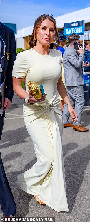 Zvijezda je nosila svoje brinete pramenove u elegantnom stilu pola gore pola dolje