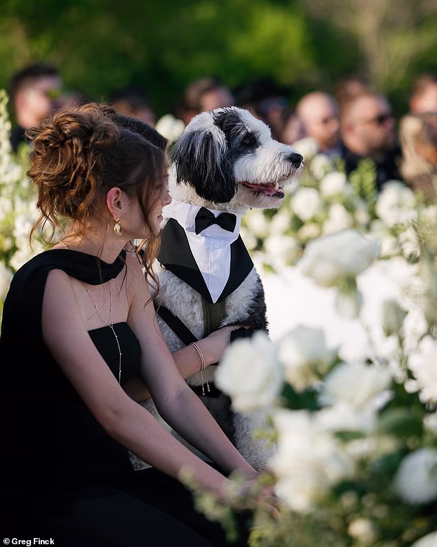 Divno, pas para, Cabo, također je bio prisutan i odjeven za tu priliku u mini smoking