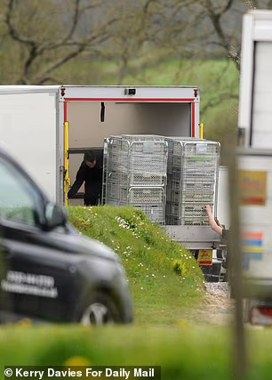 Očekuje se da će ceremonija privući zvijezde visokog profila