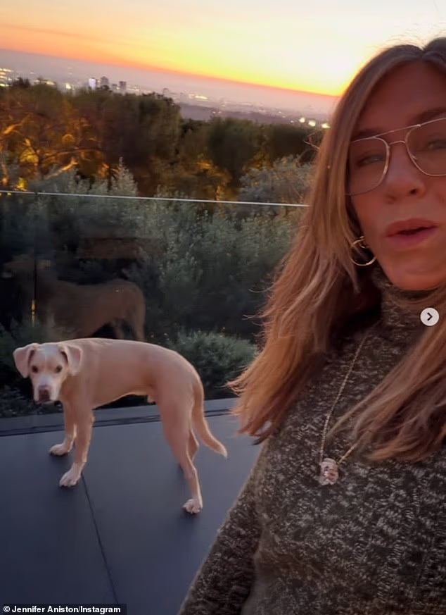 Djeca su osjetljiva tema za Aniston, čija je vlastita 20-godišnja bitka za bebu završila 'prije nekoliko godina' nakon što je pokušala IVF (na slici 25. prosinca)