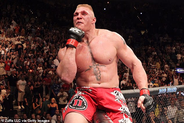 Lesnar je također imao uspješnu karijeru u UFC-u tijekom pauze od svojih hrvačkih nastojanja