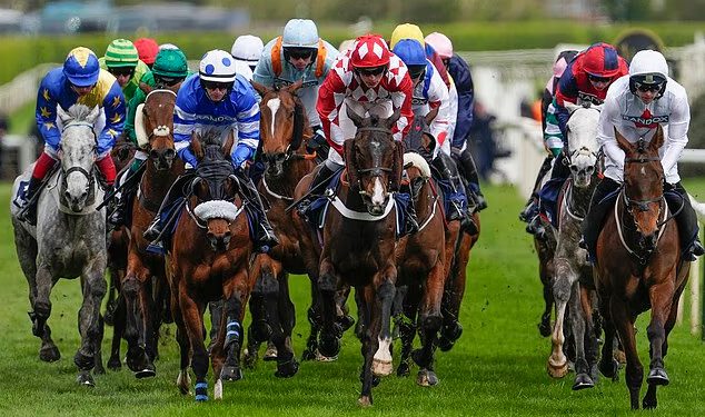 Aintree konj Get on George ugašen je na Dan državnosti samo 24 sata nakon tragične smrti Gold Dancera