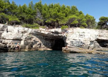 Čuvari prirode kreću u oštre kontrole!