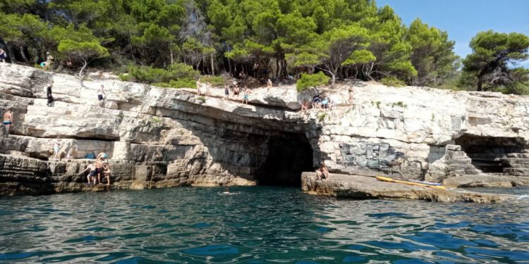 Čuvari prirode kreću u oštre kontrole!