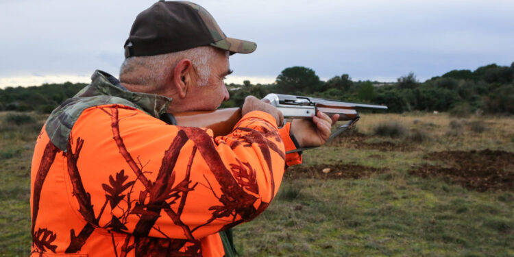 Divlje zvijeri haraju Hrvatskom: Na Pagu kolju ovce i šire strah, propisana nagrada za odstrel