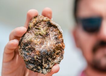 EUROPSKA KAMENICA Mali segment, velika tržišna vrijednost