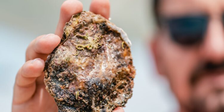 EUROPSKA KAMENICA Mali segment, velika tržišna vrijednost