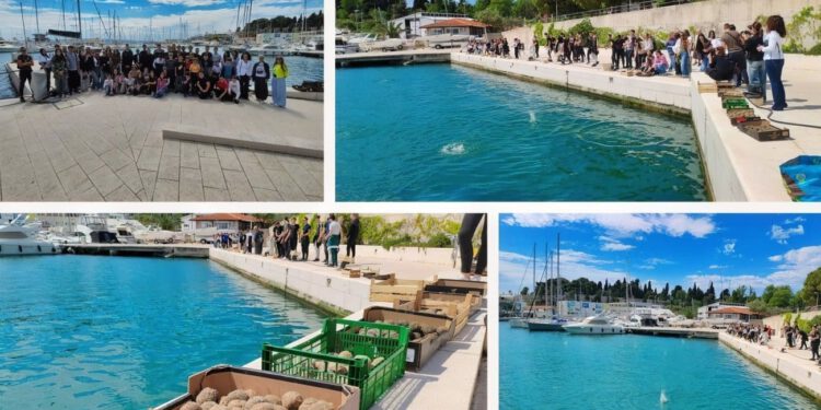 FOTO I VIDEO Učenici u Splitu na Dan planeta Zemlje bacili BIO kugle u more: “Moramo misliti na buduće generacije”