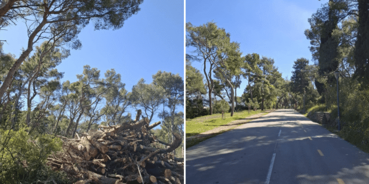 Grad objavio nove informacije o Marjanu: Stanje se prati, stiže izvještaj