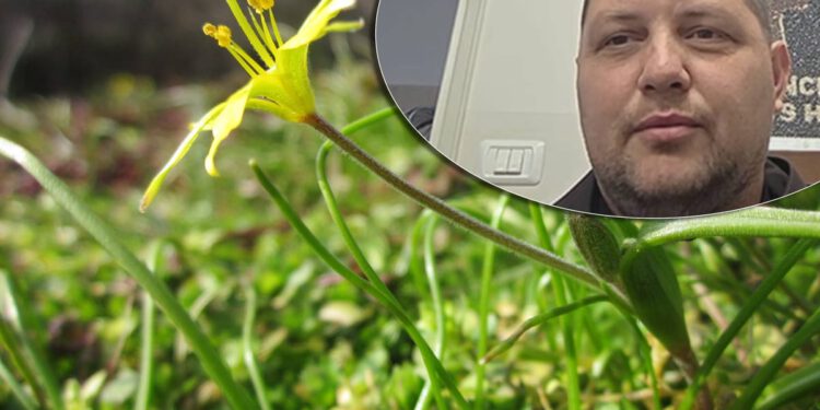 Hrvatski svećenik iz Betlehema šalje poruku: “Uskrs daje smisao”