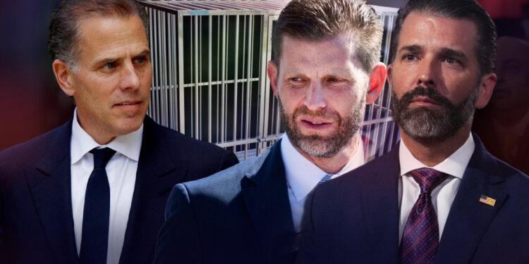 Hunter Biden izaziva Trumpove sinove na ‘utakmicu u kavezu’ (VIDEO) — RT World News