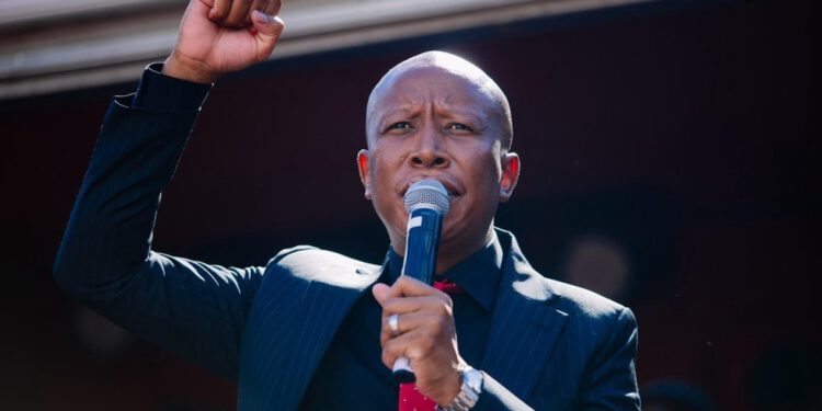 Južnoafrički političar zatvoren zbog pucanja iz oružja na skupu — RT Africa