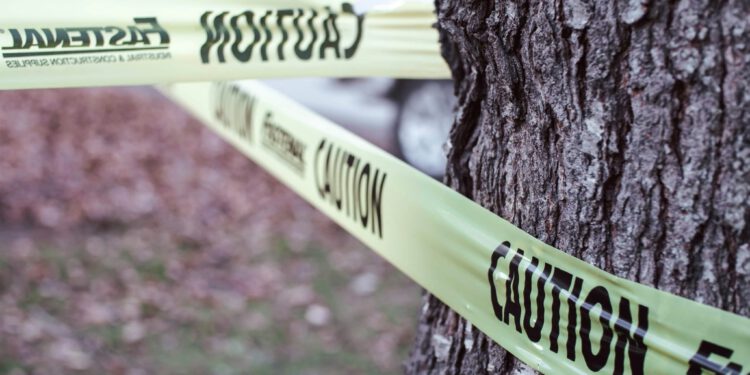 Misterij kostura bebe ispod dasaka stare kuće zapanjio svijet: ‘Bio je zamotan u novine’