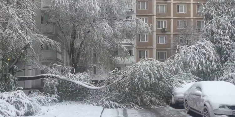 Moskvu pogodila velika oluja, Ruse zatrpao snijeg: Otkazani letovi, iščupana stabla