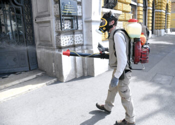 Najezda opakih štetočina dovodi Zagrepčane do ludila: ‘Sve smo pokušali, ozbiljno razmišljamo o selidbi’