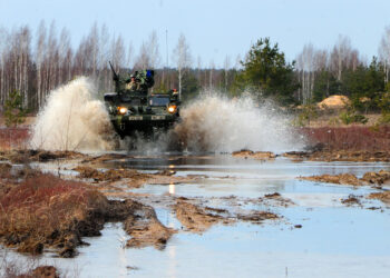 Neobična ideja za ‘mobilizaciju’ prirode protiv neprijateljskih ofenziva