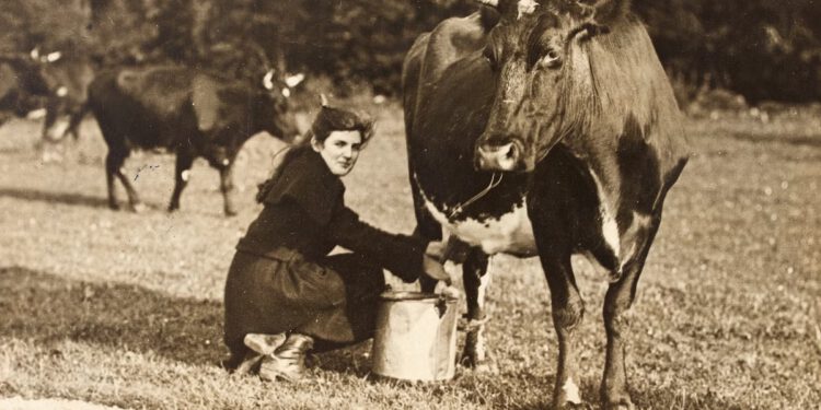 Objavljen je irski popis stanovništva iz 1926. Evo zašto je to tako važno