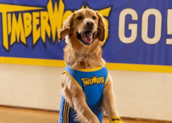 Originalni Air Bud je kanonski mrtav u sljedećem filmu