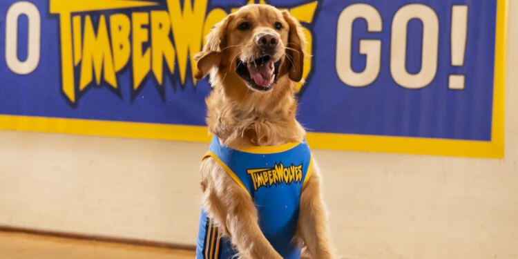 Originalni Air Bud je kanonski mrtav u sljedećem filmu