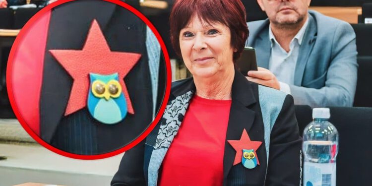 Petokraka u Županijskoj skupštini izazvala osude. Hrvatski časnički zbor Splita traži reakciju institucija: “To je simbol pod kojim su ubijani naši prijatelji”