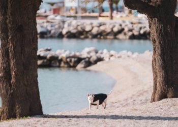 Pogledajte gdje Žnjan još uvijek izgleda grozno