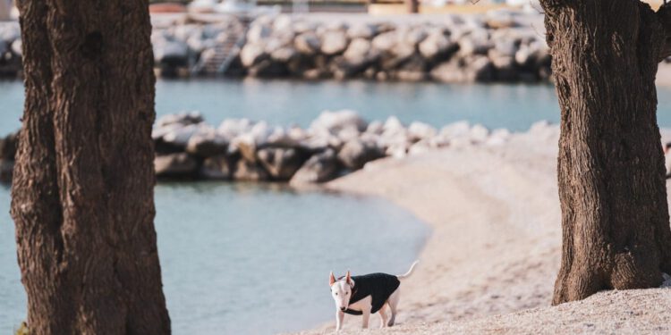 Pogledajte gdje Žnjan još uvijek izgleda grozno