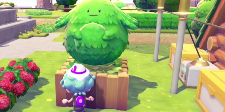 Pokémon Pokopia igrači ‘sjajno traže’ rijetke varijante dekora