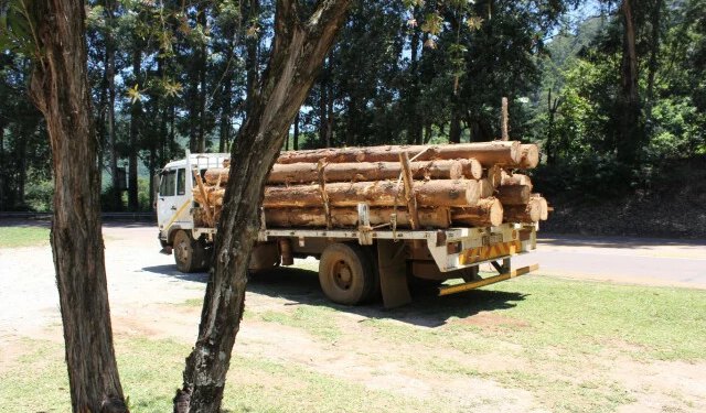 Policajci zaustavili kamion s drvima pa ostali zatečeni onim što su pronašli