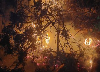 Požar kod Podstrane brzo ugašen, vatrogasci uputili apel roditeljima: “Razgovarajte s djecom o opasnostima paljenja vatre u prirodi”