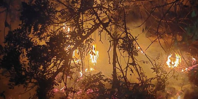 Požar kod Podstrane brzo ugašen, vatrogasci uputili apel roditeljima: “Razgovarajte s djecom o opasnostima paljenja vatre u prirodi”