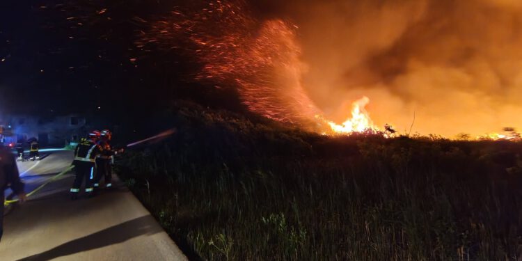 Požar u dolini Neretve, vatrogasci muku muče, buktinja guta sve pred sobom